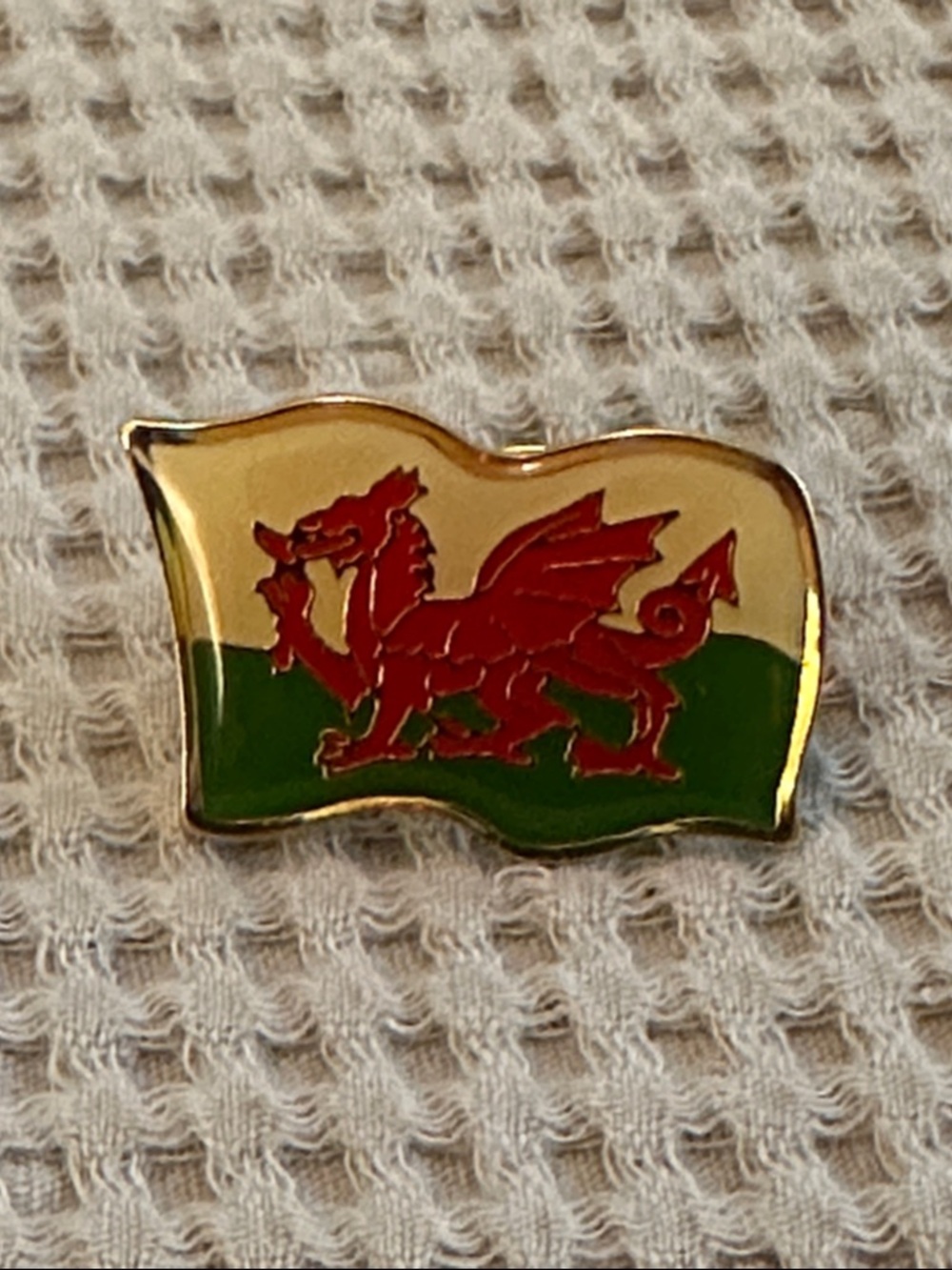 Flag of Wales Travel Souvenir Pin